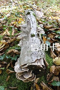 信用卡逾期400联系家人 信用卡逾期400联系家人