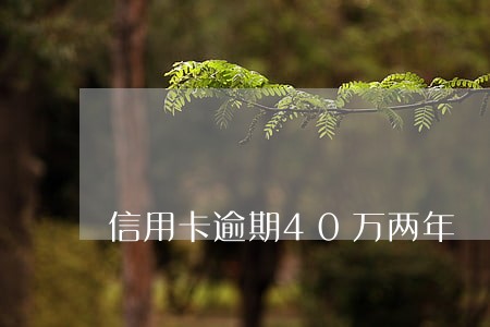信用卡逾期40万两年 信用卡逾期40万两年