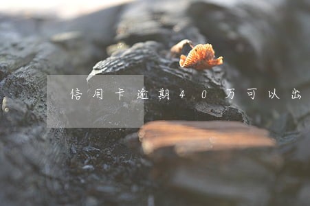 信用卡逾期40万可以出国务工吗