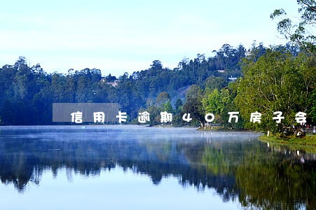 信用卡逾期40万房子会拍卖吗 信用卡逾期40万房子会拍卖吗