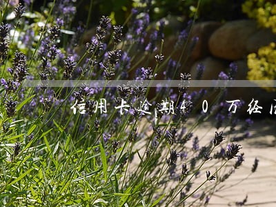信用卡逾期40万经历 信用卡逾期40万经历