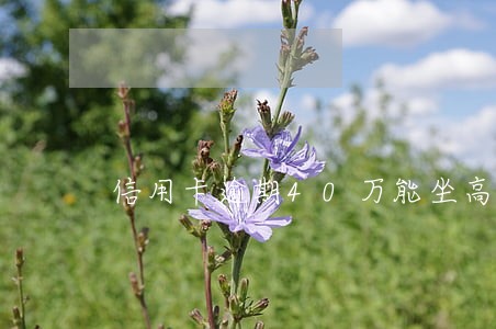 信用卡逾期40万能坐高铁吗 信用卡逾期40万能坐高铁吗