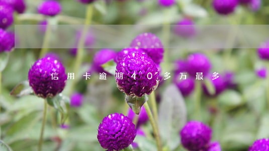 信用卡逾期40多万最多 信用卡逾期40多万最多