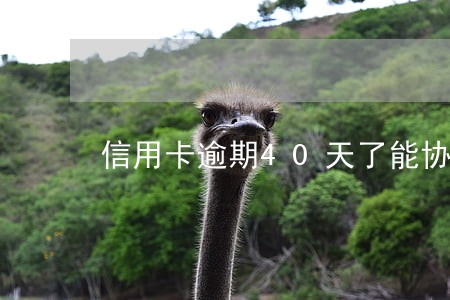 信用卡逾期40天了能协商吗 信用卡逾期40天了能协商吗