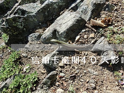 信用卡逾期40天影响大吗 信用卡逾期40天影响大吗