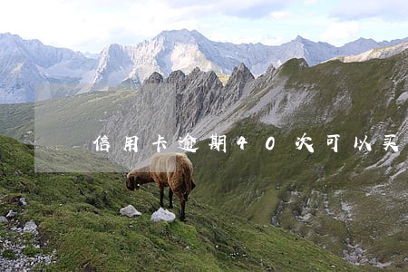 信用卡逾期40次可以买房吗 信用卡逾期40次可以买房吗