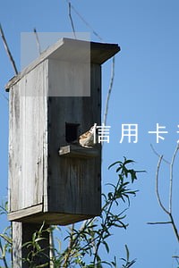 信用卡逾期43块钱一个月 信用卡逾期43块钱一个月
