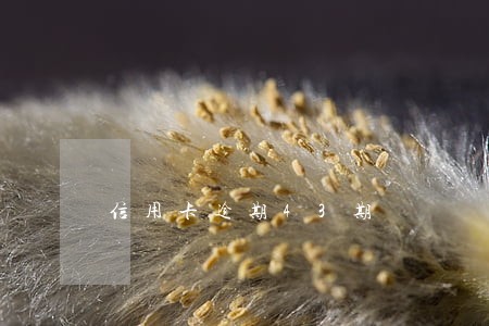 信用卡逾期43期 信用卡逾期43期