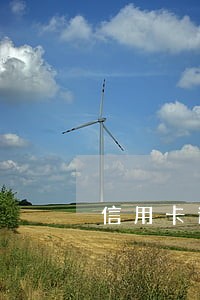 信用卡逾期4500元20天