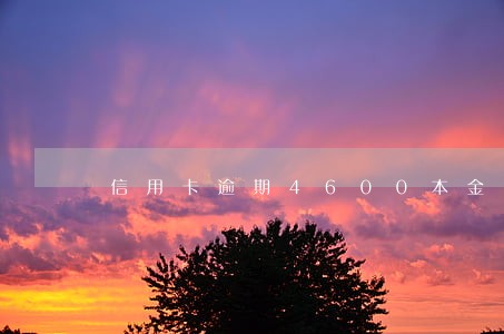 信用卡逾期4600本金 信用卡逾期4600本金