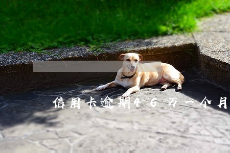 信用卡逾期46万一个月多少钱 信用卡逾期46万一个月多少钱