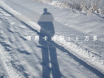 信用卡逾期46万多