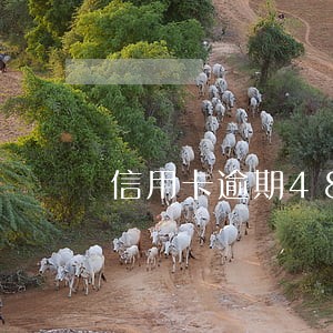 信用卡逾期48小时全额还款