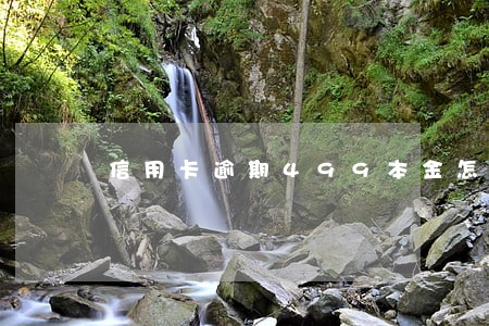 信用卡逾期499本金怎么办 信用卡逾期499本金怎么办