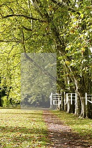 信用卡逾期4w多被起诉 信用卡逾期4w多被起诉