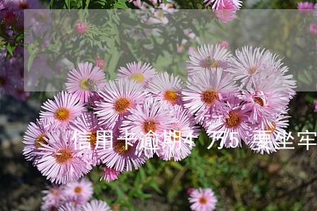 信用卡逾期4万5要坐牢吗
