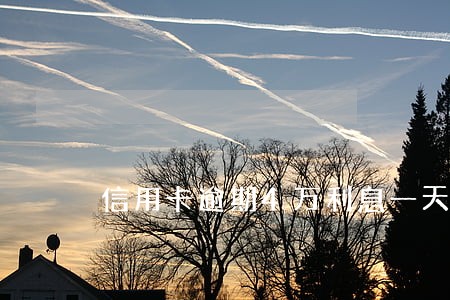 信用卡逾期4万利息一天多少