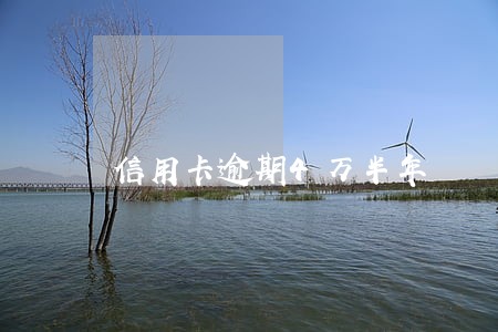 信用卡逾期4万半年