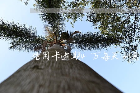 信用卡逾期4万每天利息多少钱 信用卡逾期4万每天利息多少钱