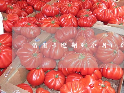 信用卡逾期4个月100元 信用卡逾期4个月100元