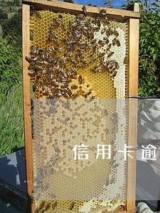 信用卡逾期4个月了,怎么和银行协商 信用卡逾期4个月了,怎么和银行协商