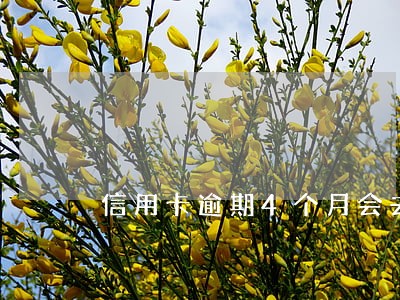 信用卡逾期4个月会去家里吗 信用卡逾期4个月会去家里吗