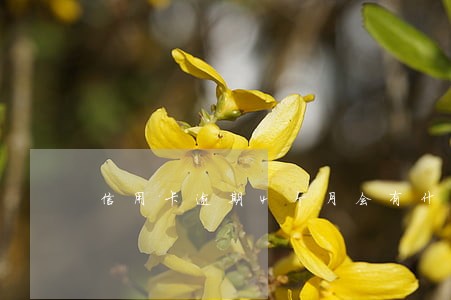 信用卡逾期4个月会有什么后果