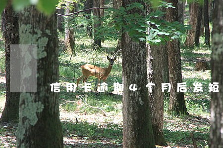 信用卡逾期4个月后发短信警告
