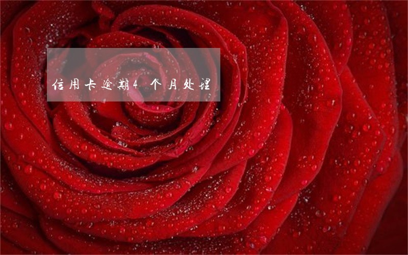 信用卡逾期4个月处理 信用卡逾期4个月处理
