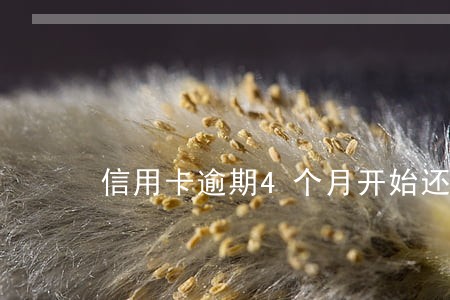 信用卡逾期4个月开始还钱