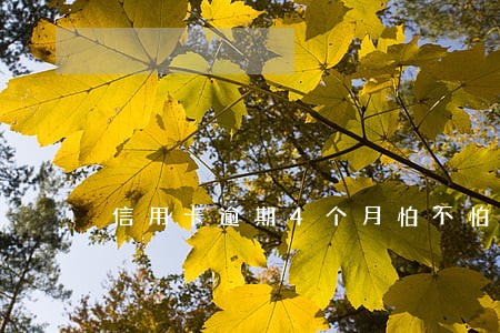 信用卡逾期4个月怕不怕 信用卡逾期4个月怕不怕