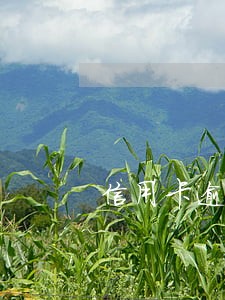 信用卡逾期4个月报案通知 信用卡逾期4个月报案通知