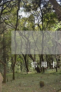 信用卡逾期4个月款4万