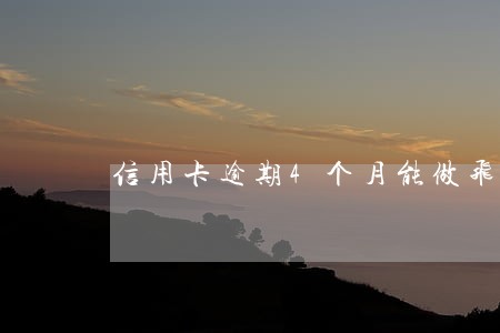信用卡逾期4个月能做飞机吗 信用卡逾期4个月能做飞机吗