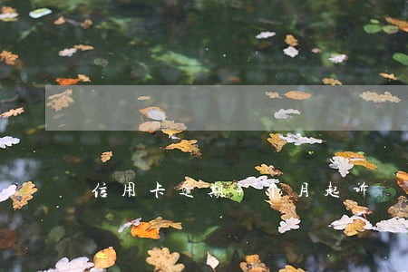 信用卡逾期4个月起诉 信用卡逾期4个月起诉