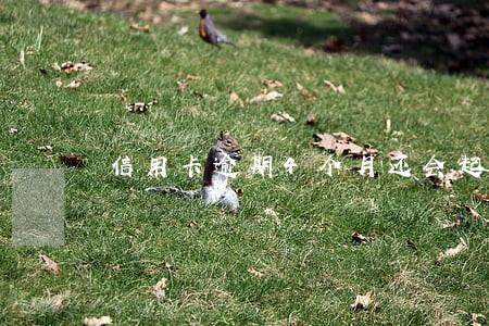 信用卡逾期4个月还会起诉吗 信用卡逾期4个月还会起诉吗