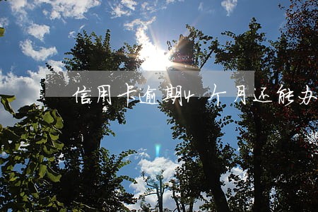 信用卡逾期4个月还能办房贷吗 信用卡逾期4个月还能办房贷吗