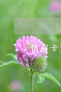 信用卡逾期4个月还能解冻嘛 信用卡逾期4个月还能解冻嘛
