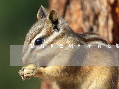 信用卡逾期4个月还能贷款 信用卡逾期4个月还能贷款