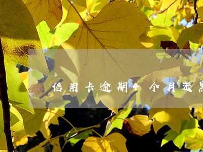 信用卡逾期4个月进黑名单 信用卡逾期4个月进黑名单