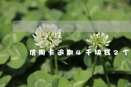 信用卡逾期4千块钱2个月了 信用卡逾期4千块钱2个月了