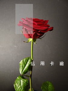 信用卡逾期4千多
