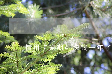 信用卡逾期4块钱一年了