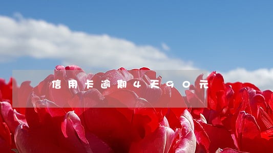 信用卡逾期4天90元 信用卡逾期4天90元
