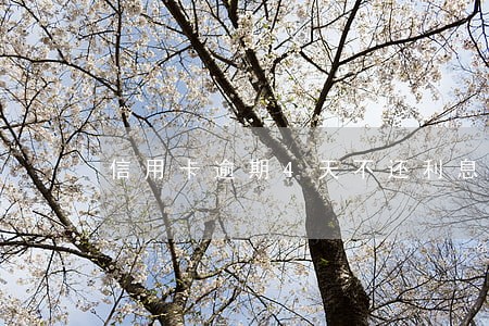 信用卡逾期4天不还利息 信用卡逾期4天不还利息