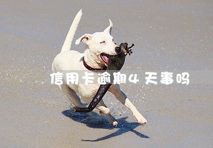 信用卡逾期4天事吗