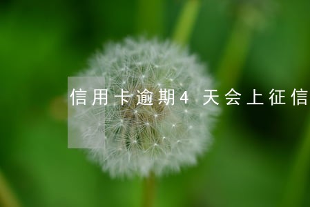 信用卡逾期4天会上征信么 信用卡逾期4天会上征信么