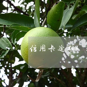 信用卡逾期4天会影响个人征信吗 信用卡逾期4天会影响个人征信吗