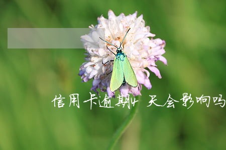 信用卡逾期4天会影响吗 信用卡逾期4天会影响吗