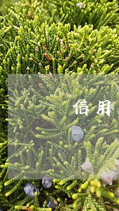 信用卡逾期4天内算逾期吗